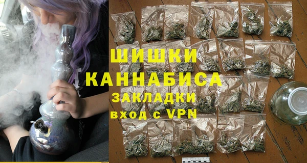 индика Слюдянка