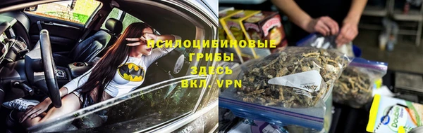 круглые Бронницы