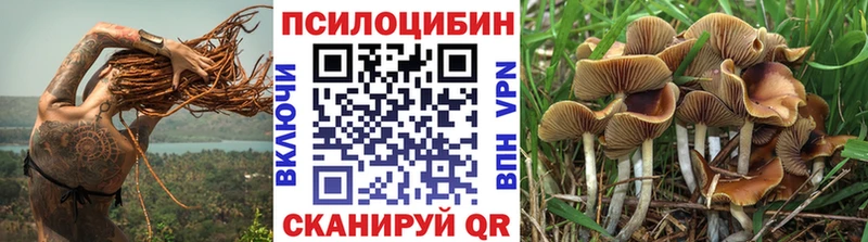 Галлюциногенные грибы Psilocybe  где купить наркотик  Клинцы 